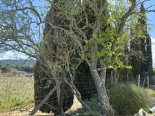 Bungalow 22 M2, deux chambres, su 410m2 de terrain, village proche de Durban 