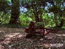 Propriete à vendre 32 pièces proche de CARCASSONNE (11) 2 habitations 522m2+ parc 2,82 hectares + dépendances