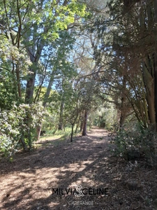 Propriete à vendre 32 pièces proche de CARCASSONNE (11) 2 habitations 522m2+ parc 2,82 hectares + dépendances