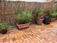 Dpt Aude (11), à vendre CARCASSONNE appartement T4 de 126 m²  3 chambres 1 terrasse