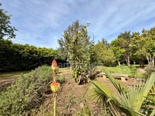 Magnificent property in Limoux with 205.07m2 of living space on 2.05 hectares of land