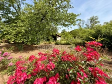 Magnificent property in Limoux with 205.07m2 of living space on 2.05 hectares of land