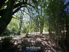 Property for sale 32 rooms near CARCASSONNE (11) 2 dwellings 522m2 + park 2.82 hectares + outbuildings