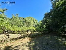 Property for sale 32 rooms near CARCASSONNE (11) 2 dwellings 522m2 + park 2.82 hectares + outbuildings