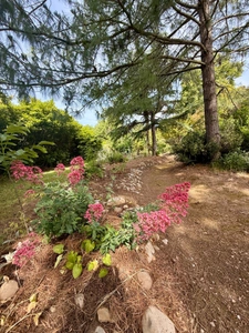 Magnificent property in Limoux with 205.07m2 of living space on 2.05 hectares of land