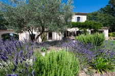 MÉNERBES – PROPRIÉTÉ D’EXCEPTION – 2 BÂTISSES – 9 CHAMBRES – PISCINE – SPA – PICKLE BALL – VUE LUBERON