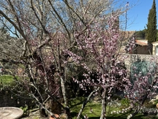 Village farmhouse with garden and swimming pool in a hamlet of Murs, 7 minutes from Gordes