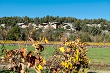Dpt Vaucluse (84), à vendre en campagne de MENERBES, proche de Gordes et de l'Isle sur la Sorgue, Propriété de près de 2 ha avec Mas familial et dépendances sur près de 400 m² offrant 7 chambres