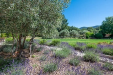 MÉNERBES – PROPRIÉTÉ D’EXCEPTION – 2 BÂTISSES – 9 CHAMBRES – PISCINE – SPA – PICKLE BALL – VUE LUBERON