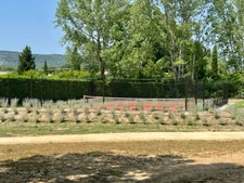 Dpt Vaucluse (84), à vendre GORDES propriété de 465 m2 en pierre avec 11 chambres sur près de 5 ha