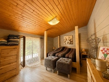 Maison bois 181 m² + maison indépendante 48 m² –  à vendre 7 pièces  ANDON (06)