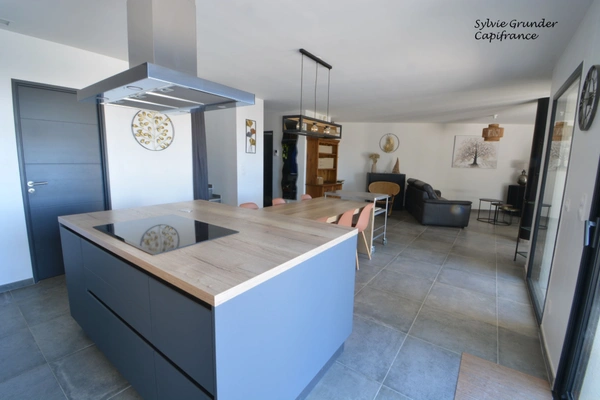 Maison contemporiane 6 pièces Piscine vue étang de l'olivier