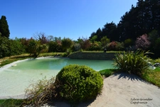 Maison à vendre 6 pièces SENAS (13)avec dépendance piscine lagon et parc arboré
