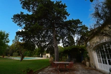 Propriete à vendre 7 pièces RAPHELE LES ARLES (13) 240m² évolutif sur 3300 m² avec piscine