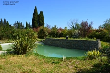 Maison à vendre 6 pièces SENAS (13)avec dépendance piscine lagon et parc arboré