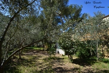 Dpt Bouches du Rhône (13), à vendre proche de  Salon-de-Provence maison P7   