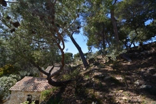 Dpt Bouches du Rhône (13), à vendre proche de  Salon-de-Provence maison P7   