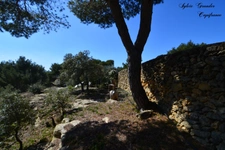 Dpt Bouches du Rhône (13), à vendre proche de  Salon-de-Provence maison P7   