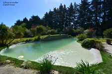 Maison à vendre 6 pièces SENAS (13)avec dépendance piscine lagon et parc arboré