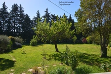 Maison à vendre 6 pièces SENAS (13)avec dépendance piscine lagon et parc arboré