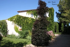 Dpt Vaucluse (84), for sale VILLELAURE house P5 of 178 m² - Land of 1,500.00 m²