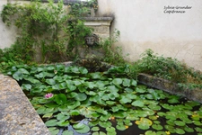 Propriete à vendre 7 pièces RAPHELE LES ARLES (13) 240m² évolutif sur 3300 m² avec piscine