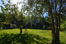 Maison à vendre 6 pièces SENAS (13)avec dépendance piscine lagon et parc arboré