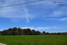 Dpt Bouches du Rhône (13), à vendre CORNILLON CONFOUX maison P15 de 455 m² dont studio 122m² - Terrain de 1 282 m² 