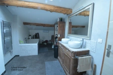Maison à vendre 6 pièces SENAS (13)avec dépendance piscine lagon et parc arboré