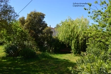 Maison à vendre 6 pièces SENAS (13)avec dépendance piscine lagon et parc arboré