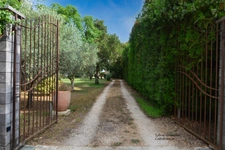 Propriete à vendre 7 pièces RAPHELE LES ARLES (13) 240m² évolutif sur 3300 m² avec piscine