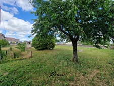 DOUE CENTRE - Terrain constructible 1071 m², partiellement clos de murs 