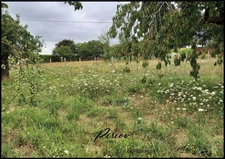 Proche du coeur de ville Baugé - 1300 m² de terrain partiellement arboré