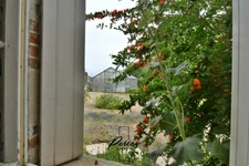 Maison 4/5 chambres - deux espaces - 2 grands hangars 