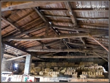 A vendre maison à rénover avec grange et terrain VISCOMTAT (63)