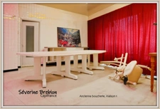 Ensemble immobilier de 2 maisons avec jardin et garage CHABRELOCHE (63)