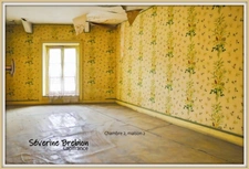 Ensemble immobilier de 2 maisons avec jardin et garage CHABRELOCHE (63)