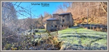 🏡 Maison rénovée en pierre de 166 m², 4 chambres, vaste séjour, dépendance, assainissement OK, avec ancien moulin et terrain de 1,8 hectare à Saint-Rémy-sur-Durolle