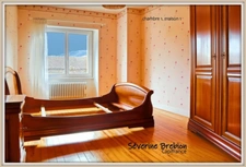 Ensemble immobilier de 2 maisons avec jardin et garage CHABRELOCHE (63)