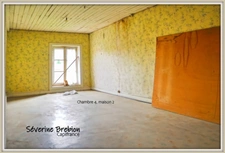 Ensemble immobilier de 2 maisons avec jardin et garage CHABRELOCHE (63)