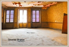 Ensemble immobilier de 2 maisons avec jardin et garage CHABRELOCHE (63)