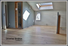 Grande maison familiale, CELLES SUR DUROLLE (63), 4 chambres, garage double, piscine, espace de 40 m² idéal profession libérale