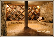 Maison bâtie en 1991,  2 grandes chambres, terrasse, garage, cave LES SALLES (42)