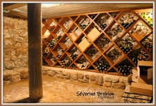 Maison bâtie en 1991,  2 grandes chambres, terrasse, garage, cave LES SALLES (42)