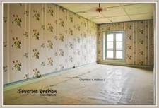 Ensemble immobilier de 2 maisons avec jardin et garage CHABRELOCHE (63)