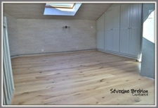 Grande maison familiale, CELLES SUR DUROLLE (63), 4 chambres, garage double, piscine, espace de 40 m² idéal profession libérale