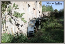 🏡 Maison rénovée en pierre de 166 m², 4 chambres, vaste séjour, dépendance, assainissement OK, avec ancien moulin et terrain de 1,8 hectare à Saint-Rémy-sur-Durolle