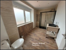 Dpt Moselle (57), à vendre SARRALBE maison P6 + Studio ou local  