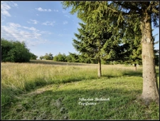Maison à vendre 6 pièces SARRALBE (57) 149m²