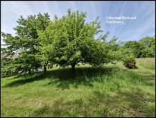 Maison à vendre 8 pièces BREIDENBACH (57)